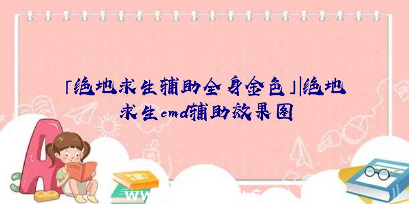 「绝地求生辅助全身金色」|绝地求生cmd辅助效果图